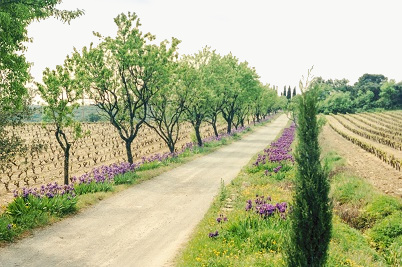 Domaine de Baubiac